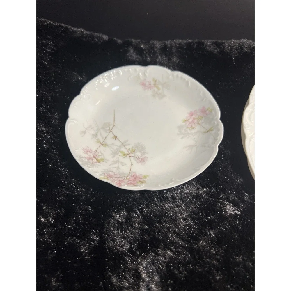 ANTIQUE 3 PC SET HAVILAND CHINA 2 PLATES‎ 1 SAUCER BEAUTIFUL PATTERN (981)